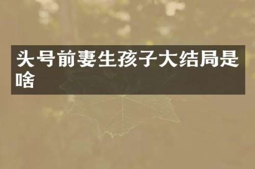 头号前妻生孩子大结局是啥