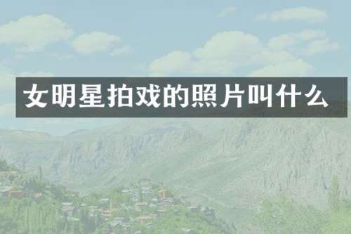女明星拍戏的照片叫什么