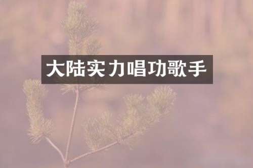 大陆实力唱功歌手