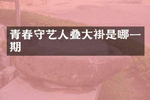 青春守艺人叠大褂是哪一期