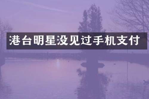 港台明星没见过手机支付