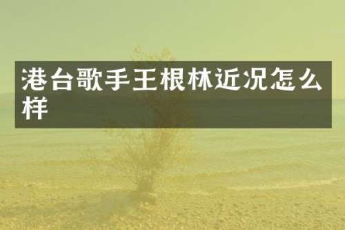 港台歌手王根林近况怎么样