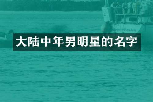 大陆中年男明星的名字