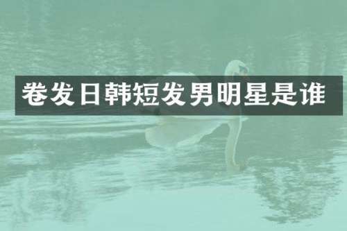 卷发日韩短发男明星是谁