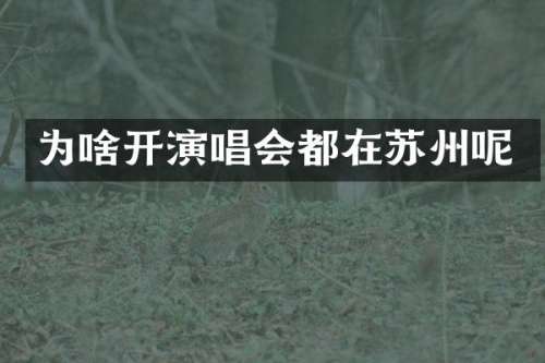 为啥开演唱会都在苏州呢