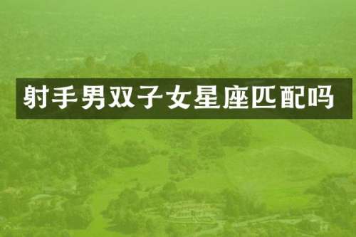 射手男双子女星座匹配吗