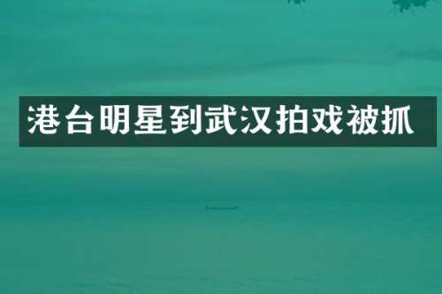 港台明星到武汉拍戏被抓