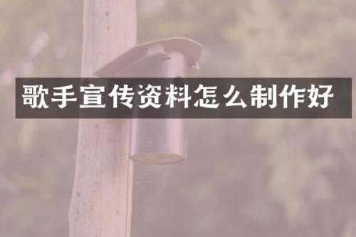 歌手宣传资料怎么制作好