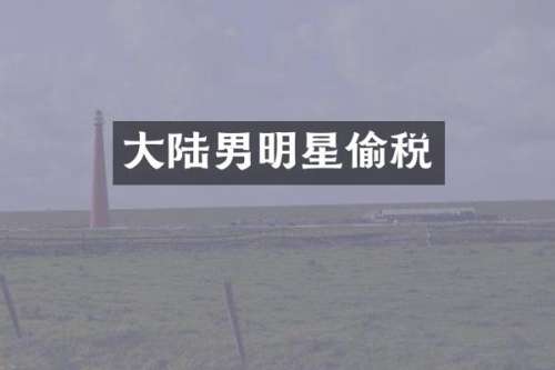 大陆男明星偷税