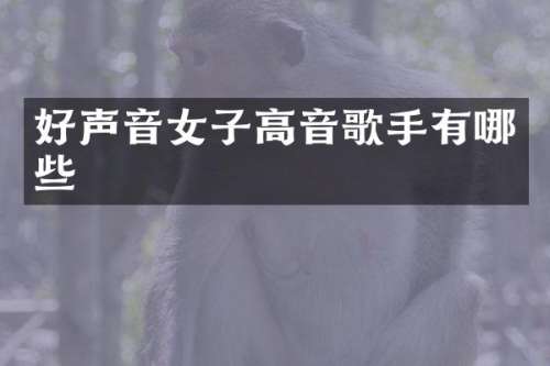 好声音女子高音歌手有哪些