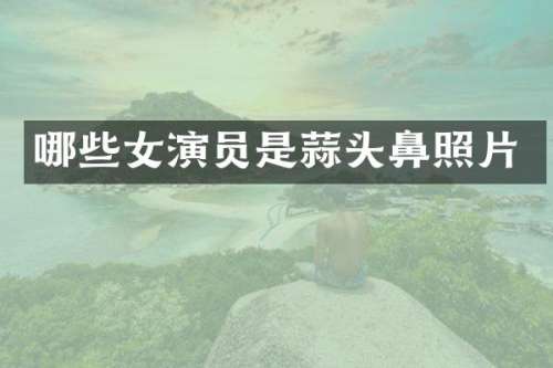 哪些女演员是蒜头鼻照片