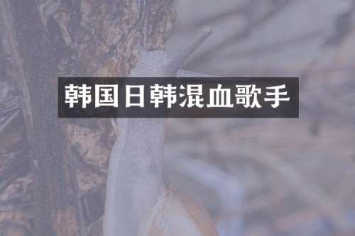 韩国日韩混血歌手