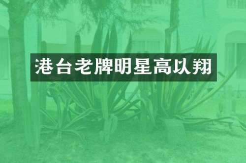 港台老牌明星高以翔