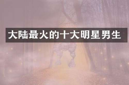 大陆最火的十大明星男生