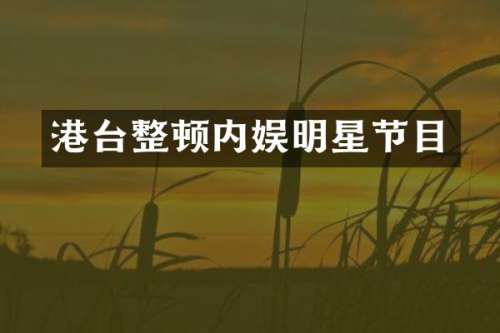 港台整顿内娱明星节目