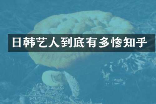 日韩艺人到底有多惨知乎