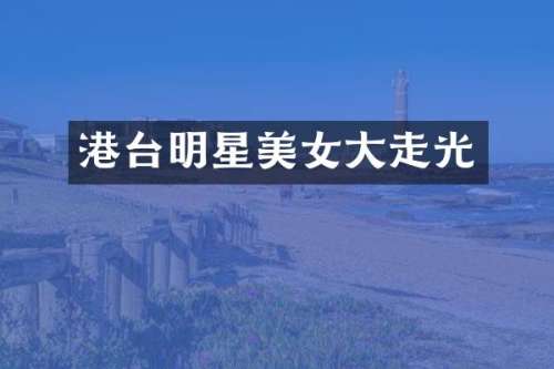 港台明星大走光