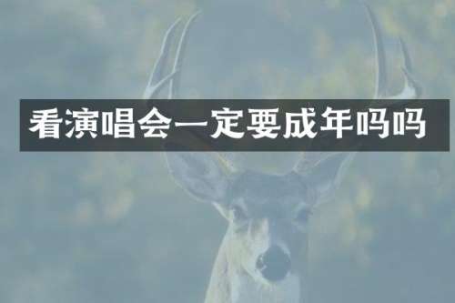 看演唱会一定要成年吗吗