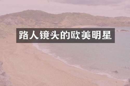 路人镜头的欧美明星