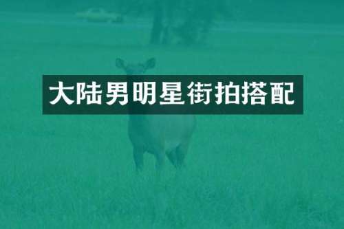 大陆男明星街拍搭配