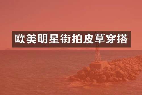 欧美明星街拍皮草穿搭