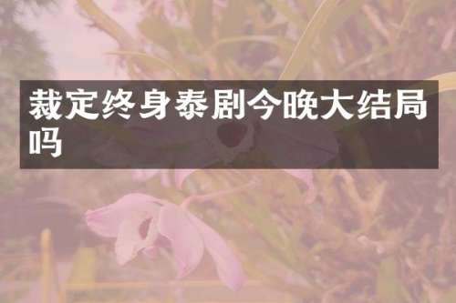 裁定终身泰剧今晚大结局吗