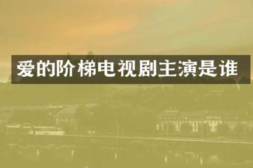 爱的阶梯电视剧主演是谁