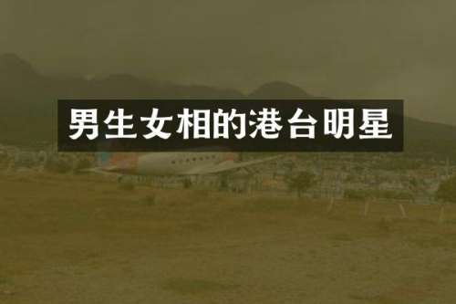 男生女相的港台明星
