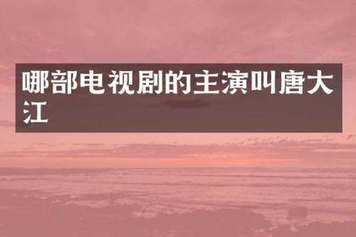 哪部电视剧的主演叫唐大江