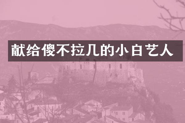 献给傻不拉几的小白艺人