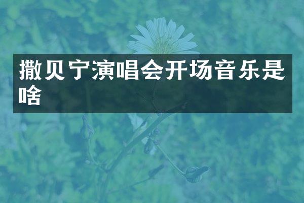 撒贝宁演唱会开场音乐是啥