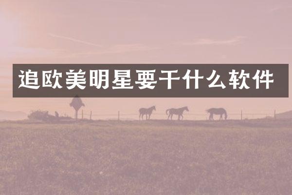 追欧美明星要干什么软件