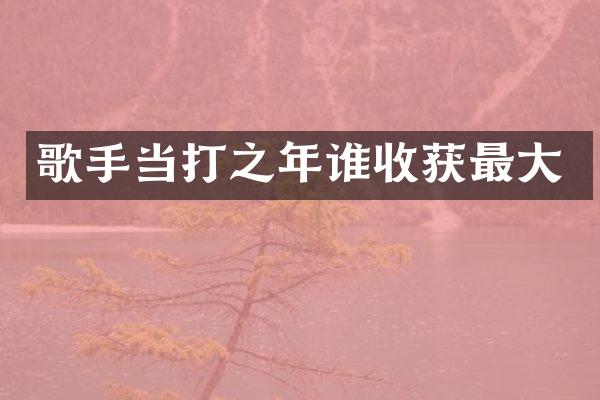 歌手当打之年谁收获最大