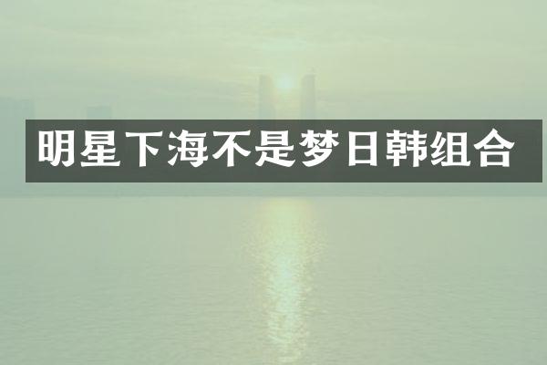 明星下海不是梦日韩组合