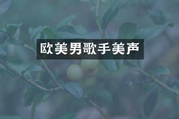 欧美男歌手美声