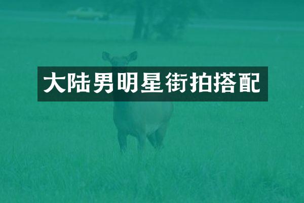 大陆男明星街拍搭配