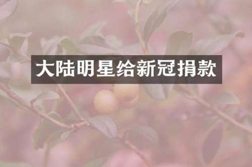 大陆明星给新冠捐款