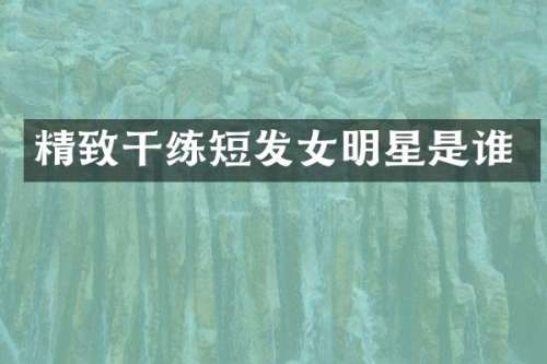 精致干练短发女明星是谁