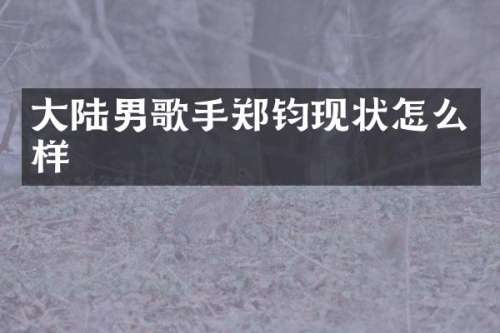 大陆男歌手郑钧现状怎么样