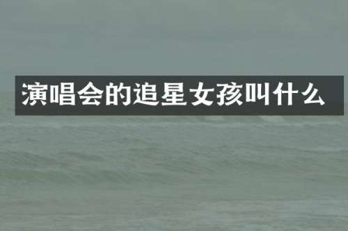 演唱会的追星女孩叫什么