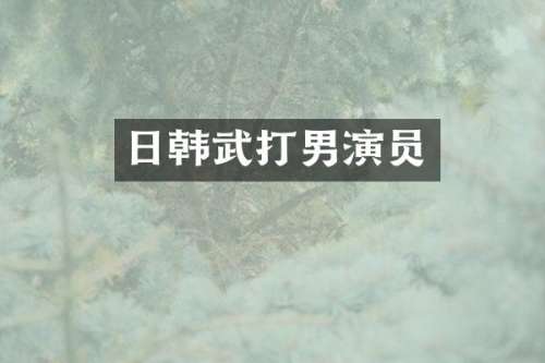 日韩武打男演员