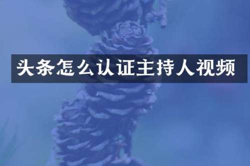 头条怎么认证主持人视频