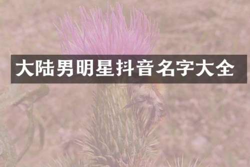 大陆男明星抖音名字大全
