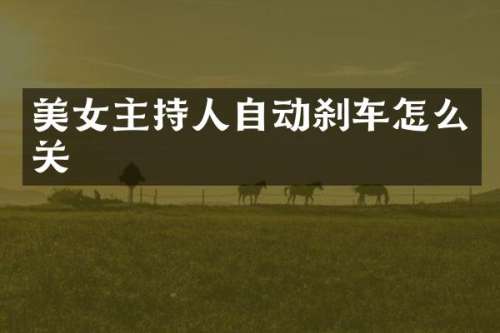 主持人自动刹车怎么关