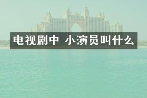 电视剧中 小演员叫什么