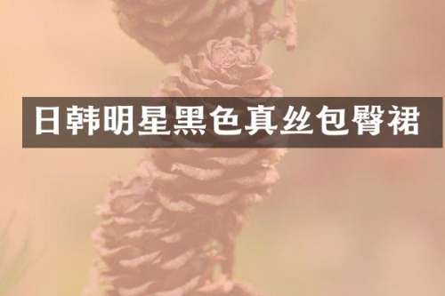 日韩明星黑色真丝包臀裙