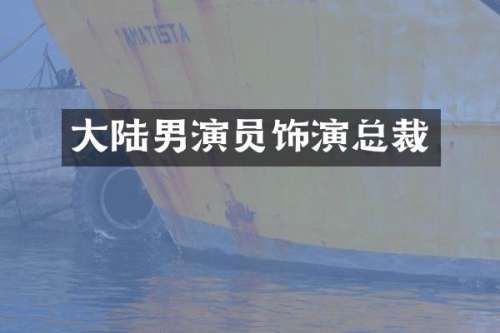 大陆男演员饰演总裁