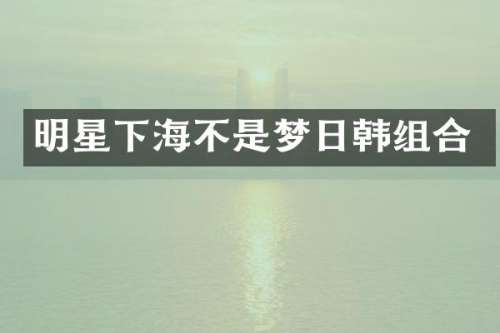 明星下海不是梦日韩组合