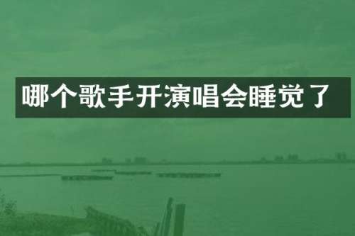 哪个歌手开演唱会睡觉了