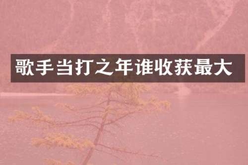 歌手当打之年谁收获最大